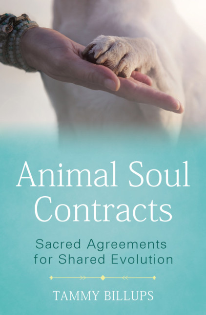 animal soul contracts cover final